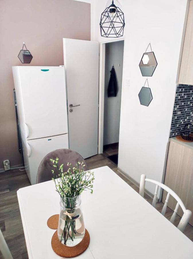 Apartman Domov ジェチーン エクステリア 写真