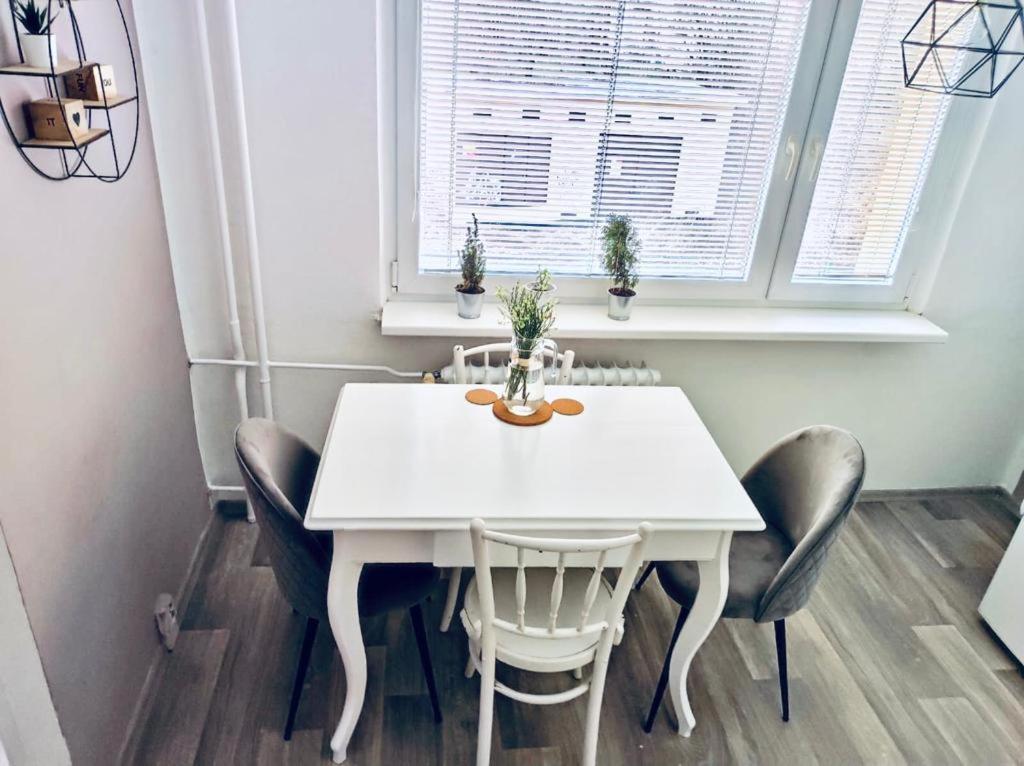 Apartman Domov ジェチーン エクステリア 写真