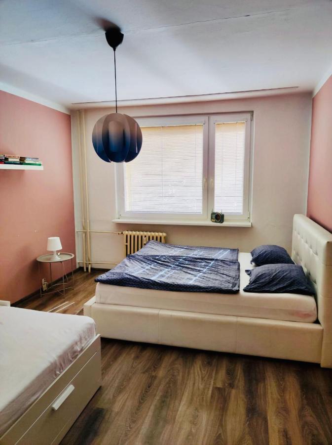 Apartman Domov ジェチーン エクステリア 写真